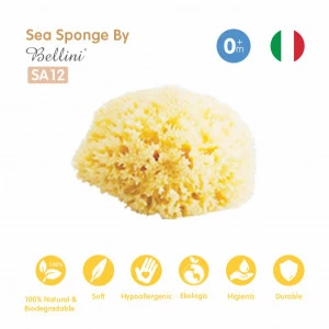 Bellini Natural Sea Sponge Honeycomb