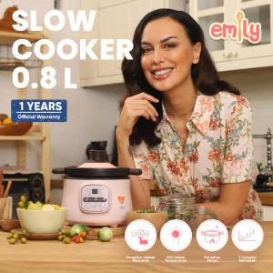 Emily Slow Cooker Claypot 0.8L / Baby & Family Food Maker