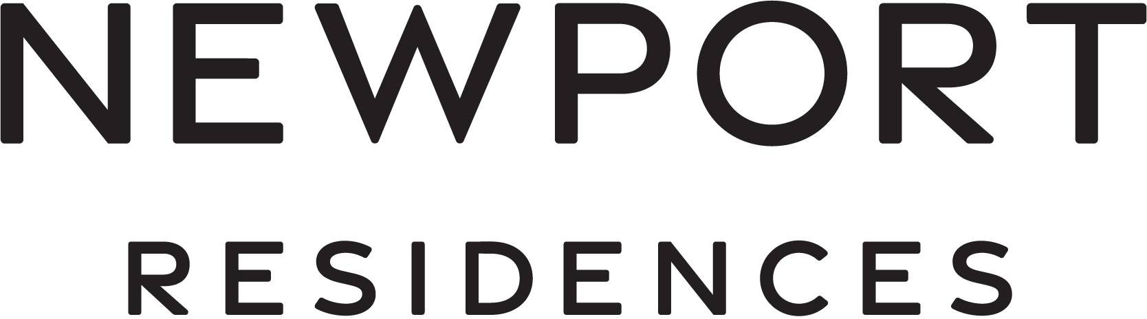 Developer Logo