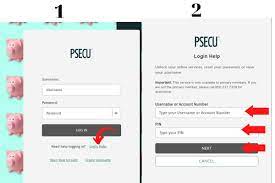 Psecu Thaddeus Stevens College