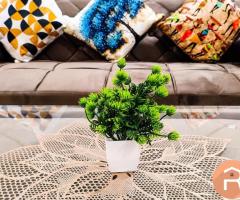 2BHK FULLY FURNISHED FLOOR AVAILABLE FOR RENT IN SECTOR 46