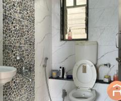 Looking for male flatmate in 1BHK flat in wakad