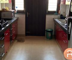3bhk  fully furnished  Sector 43 Gurgoan