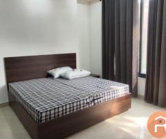 1BHK flat  Fully furnished in Sector 56