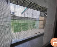 3bhk fully furnished flat in DLF phase-2, sector 25