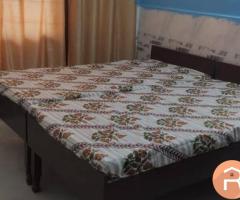 Independent 1Rk flat available for rent in Noida Sector 135