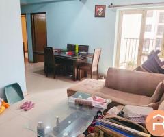 2+Study Fully Furnished Flat for Rent Near Ek Murti Chowk