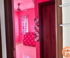 2 Room Available for Female at Baashyaam Pinnacle Crest