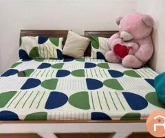 1bhk fully furnished flat for rent in Rajpur road