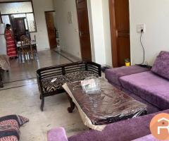 3 BHK, fully furnished available on rent in Dlf Phase II