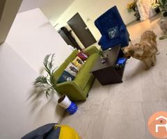 Female flatmate required in 3bhk, Andheri West,Infinity Mall