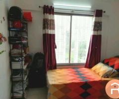 2 BHK Furnished apartment in Punawale