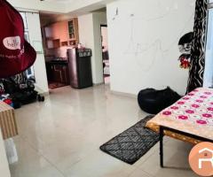 Furnished 2BHK for Rent in Gaur City, Noida Extension