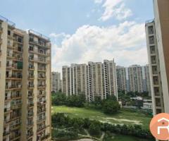 One furnished room available for male in GOLF CITY sector 75
