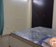 Single occupancy fully furnished rooms available Sector 75