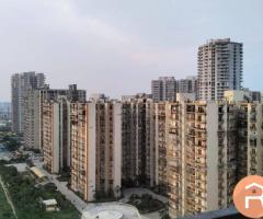 Single occupancy fully furnished rooms available Sector 75