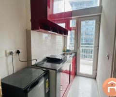 Fully furnished 1BHK flat available for rent at  NX One