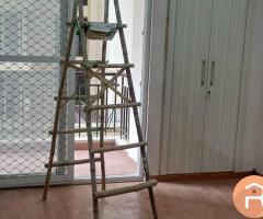 2 BHK flat for rent in Noida Extension 4