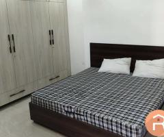 2BHK furnished flat available for rent in Sector 56