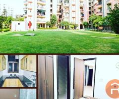 Boys PG in Noida - 4