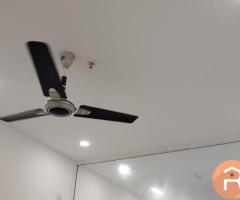 1bhk studio apartment flat available for rent in nx one mall