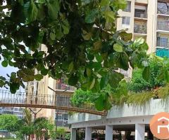 3 BHK flat available at Gujarati Colony Bawariya Kalan - 3