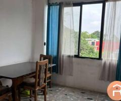 1bhk available for rent in arera colony