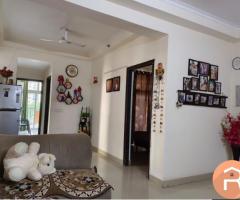 3BHK + study 5 Balconies Flat for Rent in Amrapali Princely - 2