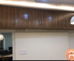 Furnished 3 BHK Flat on Rent in Patrika Nagar, Hitech City - 2