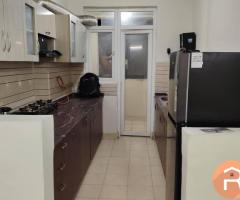 Fully Furnished Room in Pre-Occupied 3BHK Flats in Noida