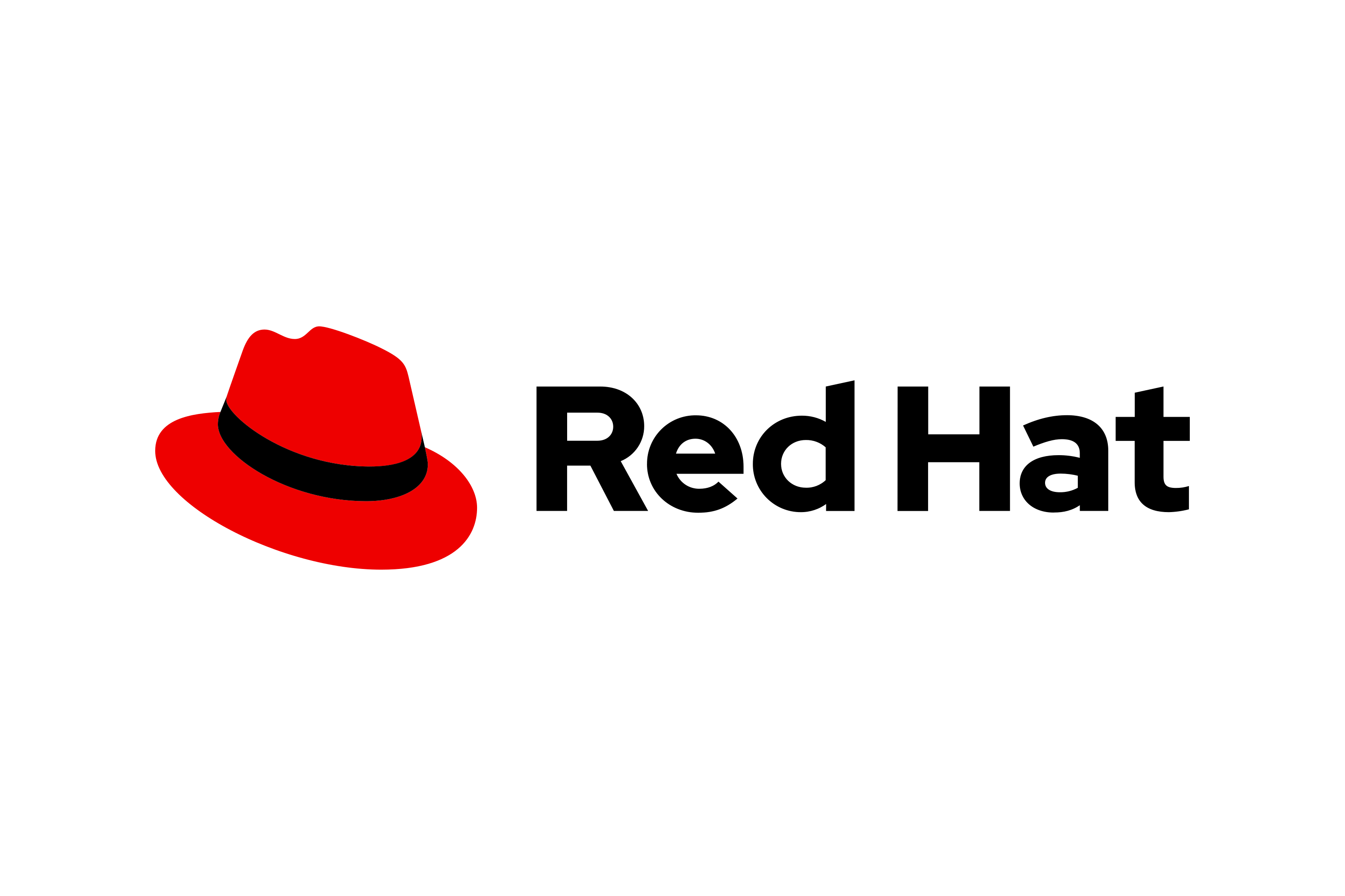 Red Hat company logo