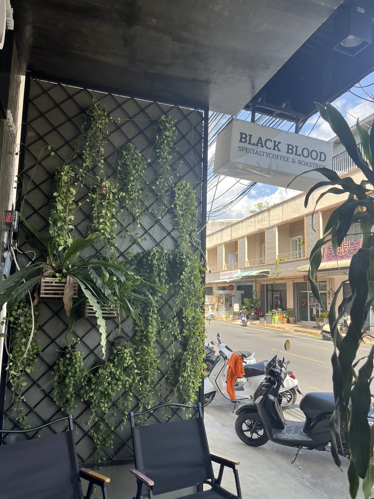 BLACK BLOOD Roastery เมืองยะลา — บรรยากาศร้าน