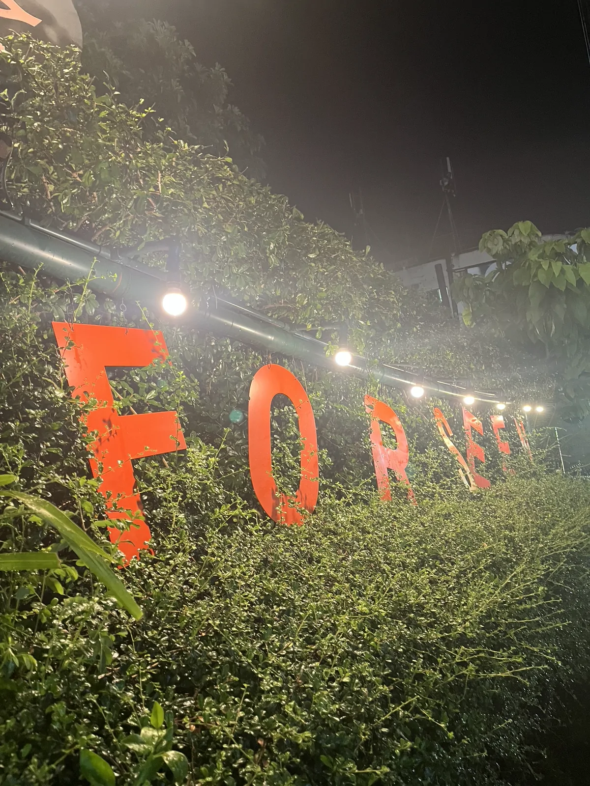 Cha-chak forseen หาดใหญ่, สงขลา — บรรยากาศร้าน