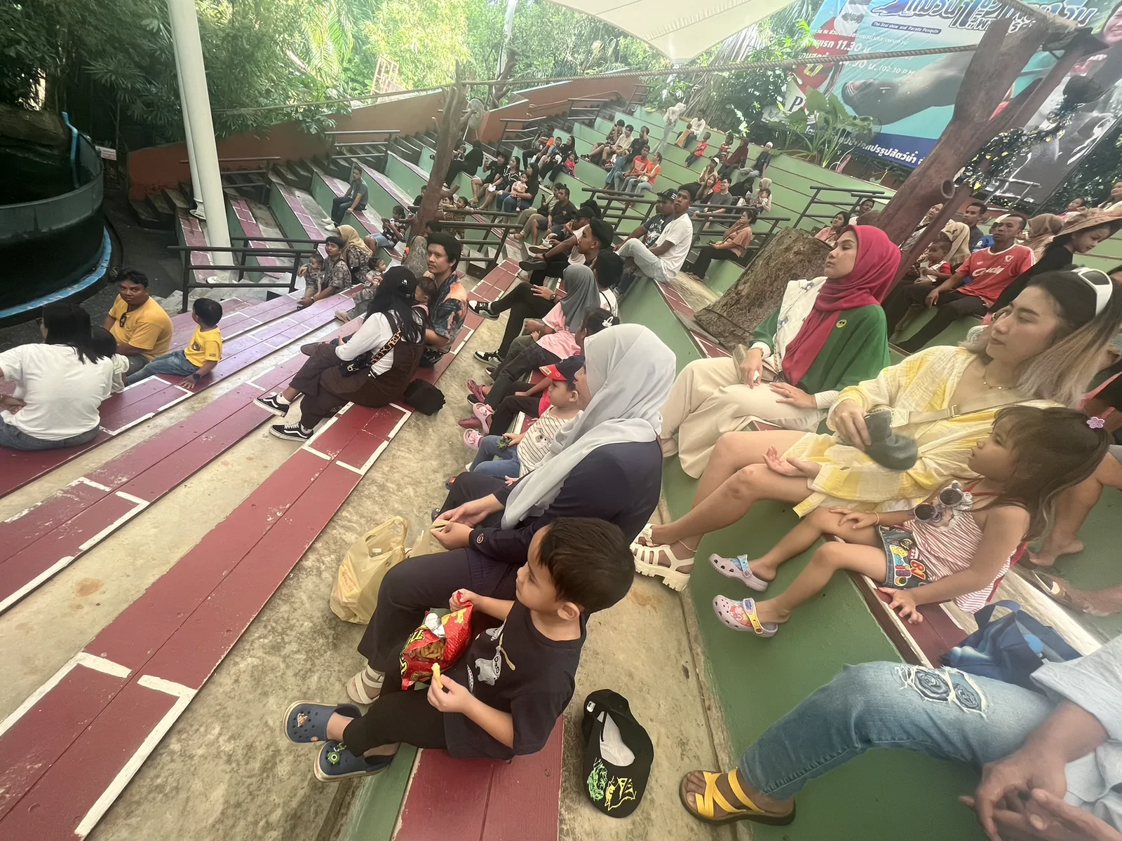 Songkhla Zoo เมืองสงขลา — โชว์เพนกวินกับแมวน้ำ สวนสัตว์สงขลา