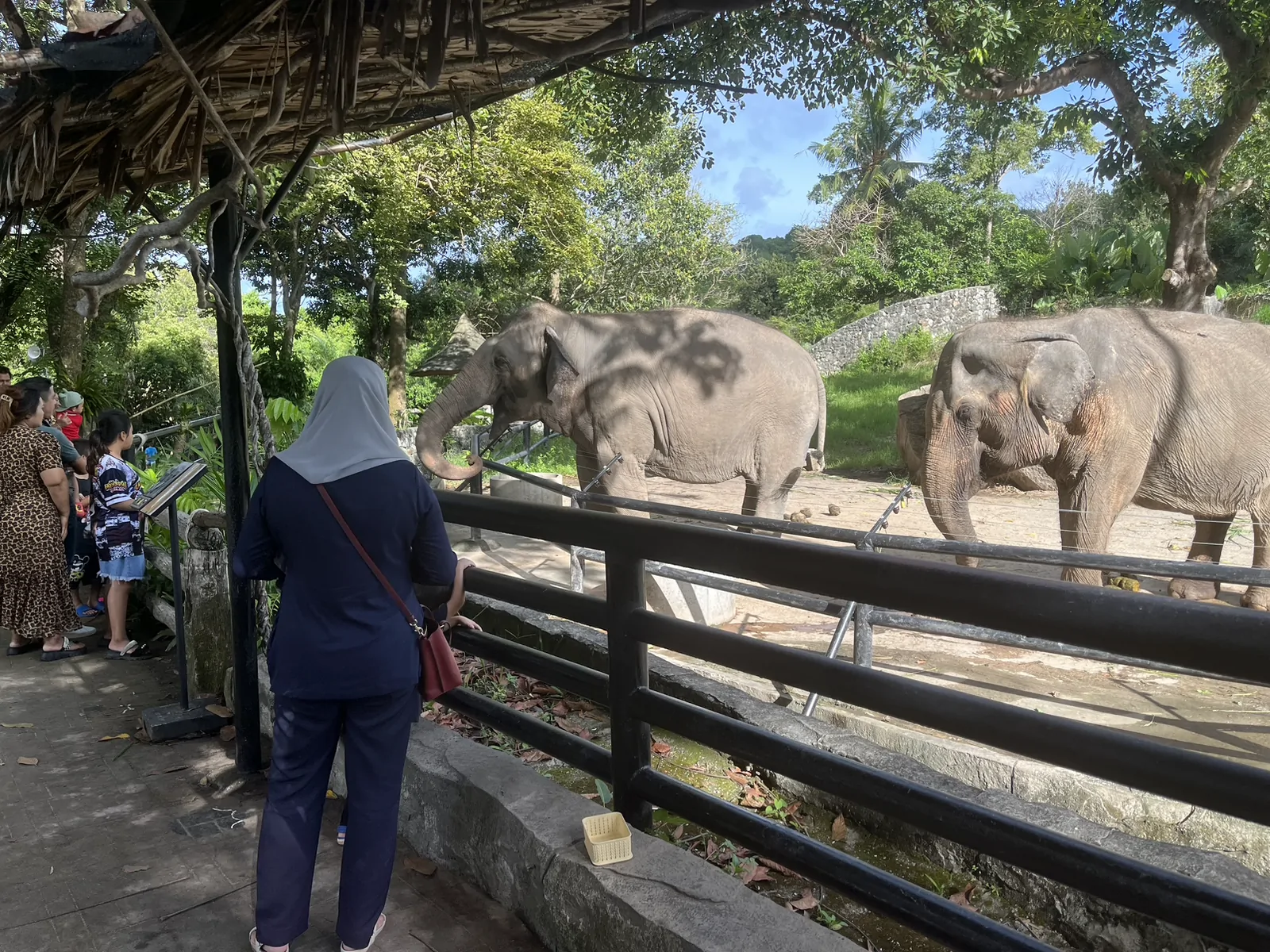 Songkhla Zoo เมืองสงขลา — โซนสัตว์รอบสวน มีสัตว์อะไรบ้าง
