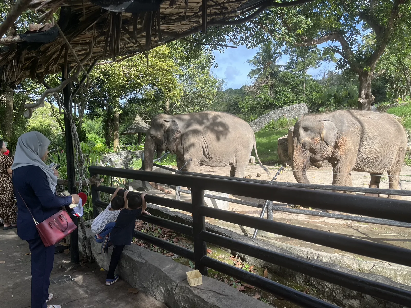 Songkhla Zoo เมืองสงขลา — เที่ยวสวนสัตว์สงขลา ต้องรู้อะไรก่อนไป