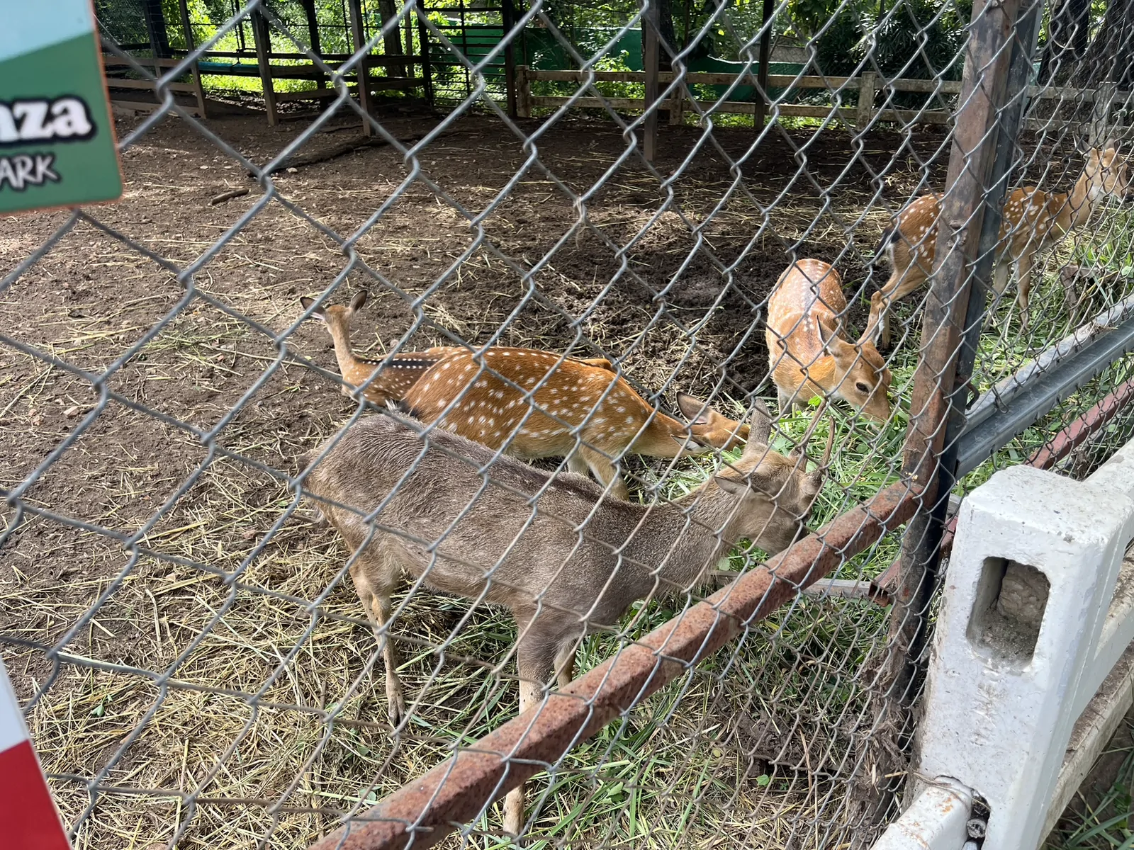The Bonanza Exotic Park เขาใหญ่ ปากช่อง นครราชสีมา — การเดินทางไปโบนันซ่า เขาใหญ่ จากกรุงเทพฯ