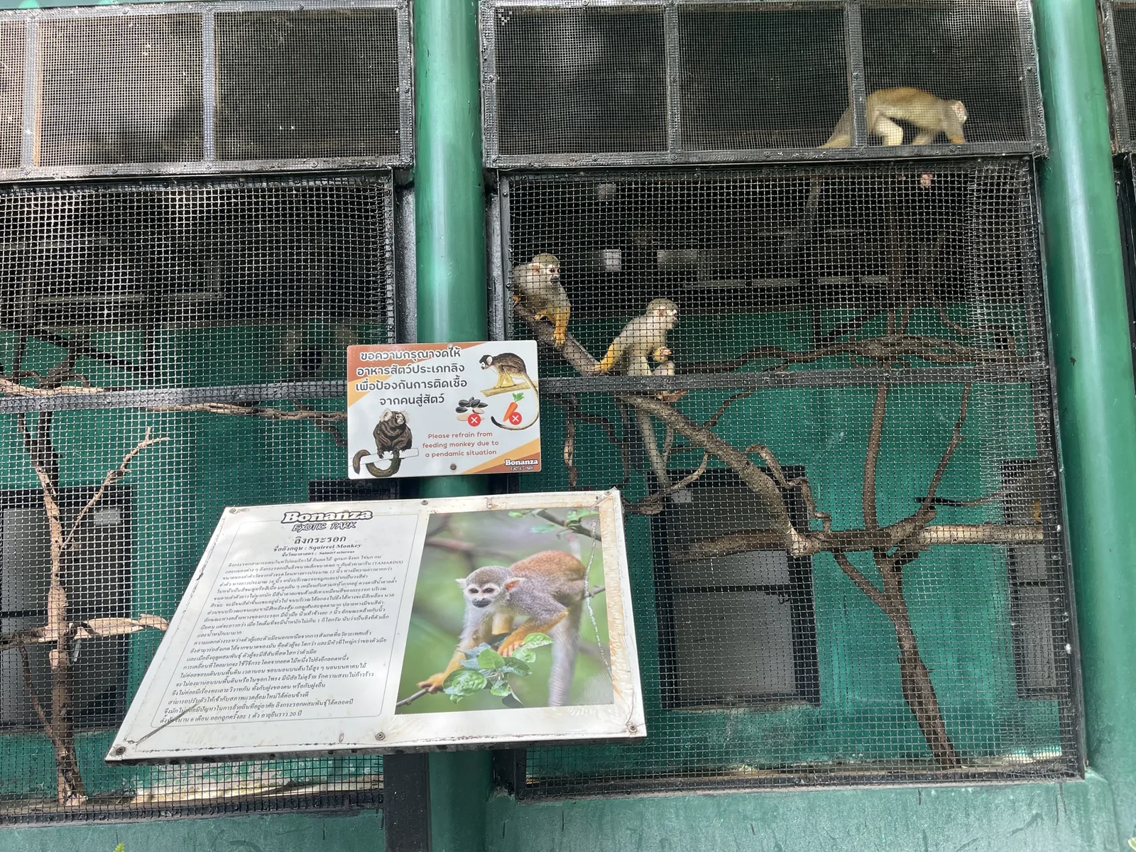 The Bonanza Exotic Park เขาใหญ่ ปากช่อง นครราชสีมา — สัตว์หายากและโซนนกที่ห้ามพลาด
