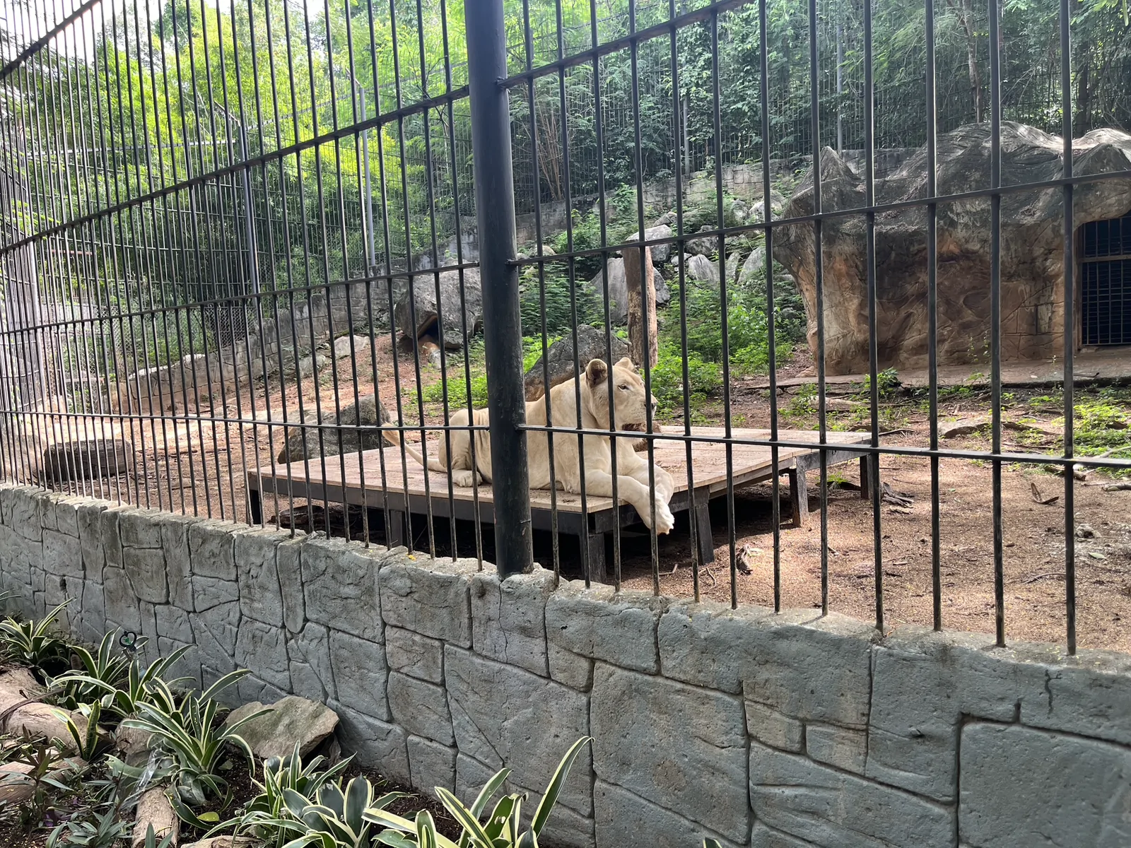 The Bonanza Exotic Park เขาใหญ่ ปากช่อง นครราชสีมา — บรรยากาศร้าน