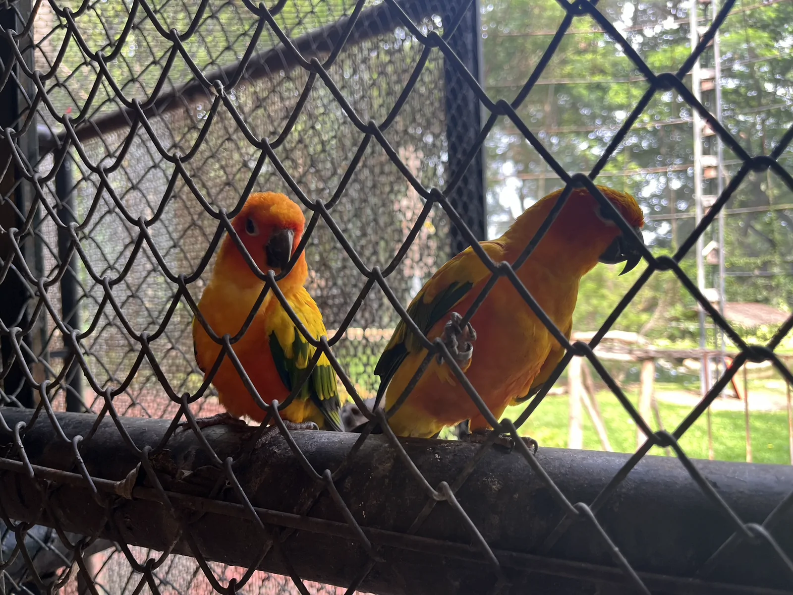 The Bonanza Exotic Park เขาใหญ่ ปากช่อง นครราชสีมา — บรรยากาศร้าน