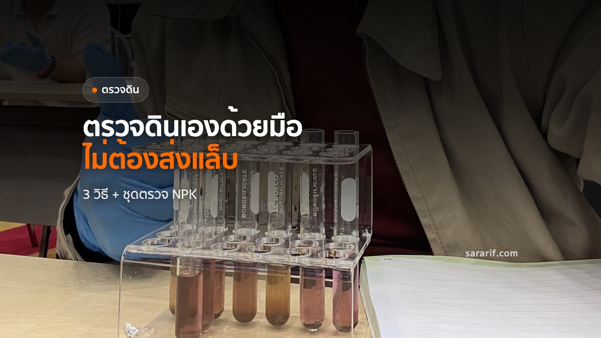 ตรวจดินเอง 3 วิธีด้วยมือ + ชุดตรวจ NPK ไม่ต้องส่งแล็บ