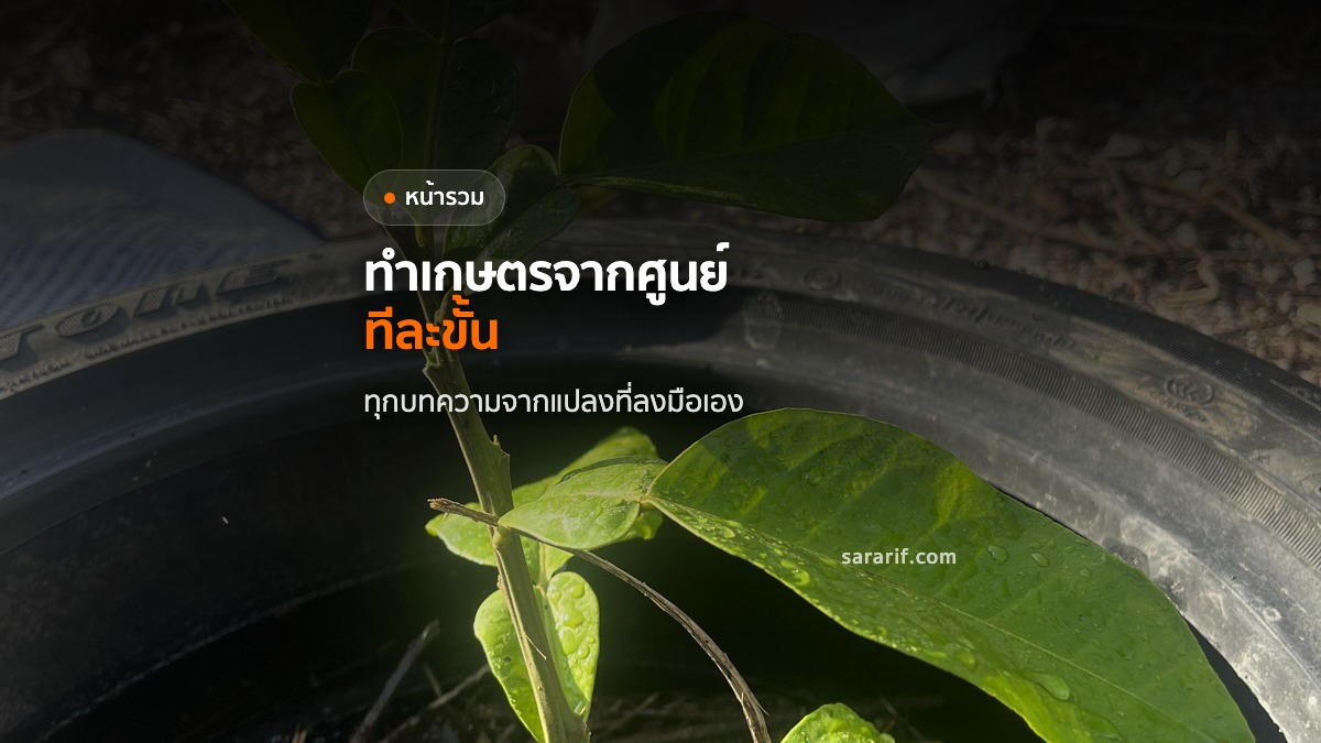 ทำเกษตรจากศูนย์ ทีละขั้น รวมทุกบทความจากแปลงจริง