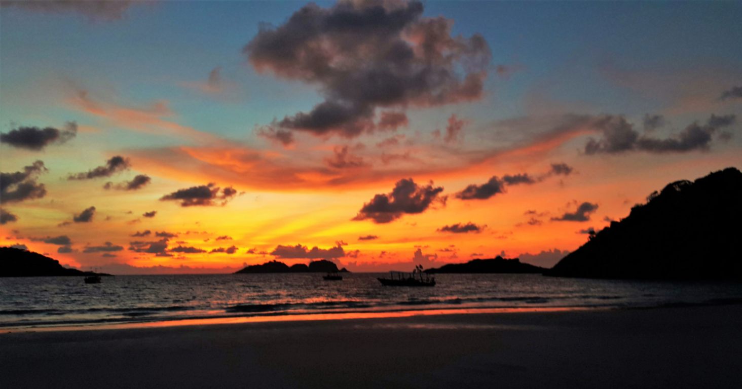 Kinabalu Park Botanique