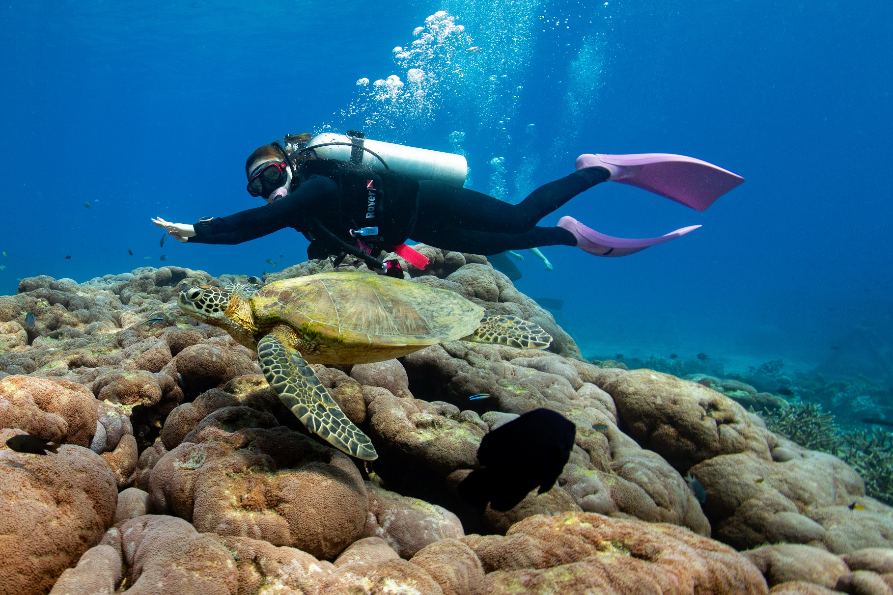 Diving Package