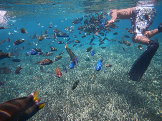 Fullboard Snorkelling Package