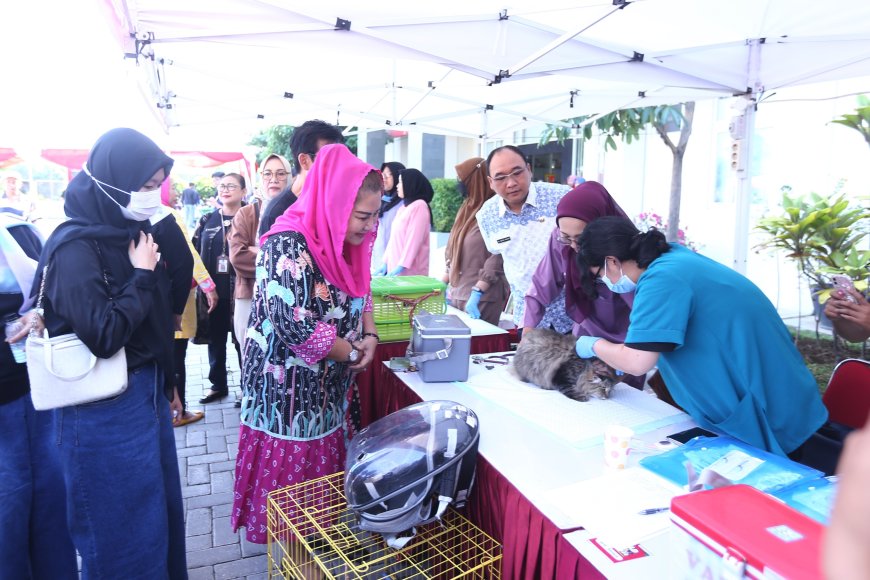 Pemkot Semarang Gelar Vaksinasi dan Sterilisasi Kucing Anjing Gratis, Cegah Penyebaran Rabies