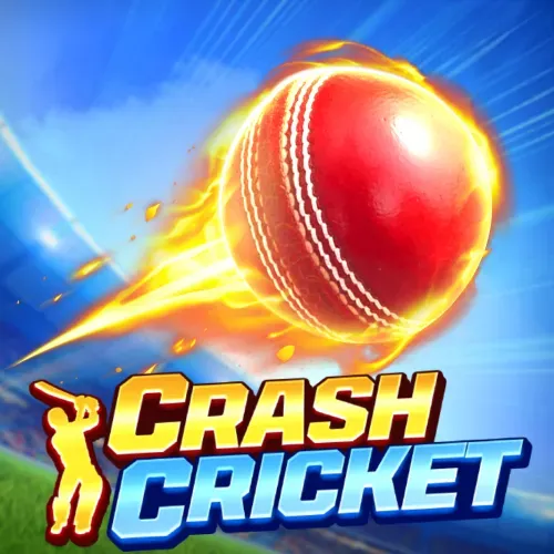 Crash Cricket Game