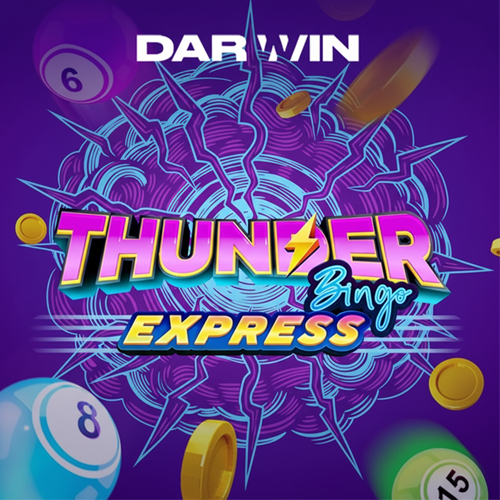 Thunder Bingo Express Game