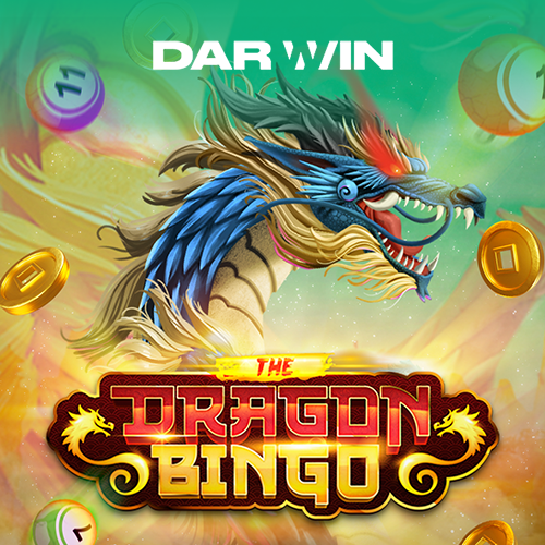 Dragon bingo Game
