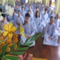 Khoá Lễ Trì Chú Đại Bi và Đảnh Lễ Danh Hiệu Phật  lần 16